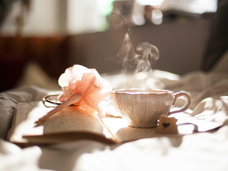 Deosai Plains